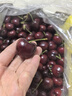 京鲜生 智利车厘子超级巨无霸4J 5斤礼盒果径32-34mm 年货礼盒 送卡尺 实拍图