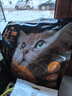 亿迪 猫粮冻干10斤成猫幼猫国产全价布偶蓝猫银渐层全阶段专用 实拍图
