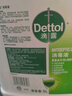 滴露（Dettol）消毒液5L大桶装消毒水家用商用工业车间酒店物业衣物环境消毒杀菌 实拍图