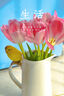 京东鲜花跨晚同款-郁金香鲜花10枝盲盒款（品种随机）源头直发 实拍图