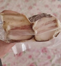 蜀腊人家老腊肉四川风味特产柴火烟熏川式老熏五花肉年货送礼烹饪食用496g 实拍图