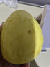 京觅福建奶油芭乐 番石榴 单果150g起 净重4.5斤装 源头直发包邮 实拍图