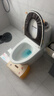 恒洁（HEGII）京东联名马桶S3 家用虹吸马桶小户型坐便器DCF0300PT-400 实拍图