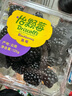 怡颗莓Driscoll's怡颗莓 黑莓125g 实拍图