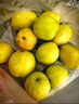 京鲜生 河北酥润香梨 净重9斤 单果120g+ 生鲜水果 源头直发 实拍图