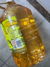 金龙鱼 食用油 非转基因 物理压榨玉米油6.18L（蕴含植物甾醇） 实拍图
