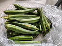 现摘现发新鲜水果秋葵鲜嫩黄秋葵生鲜蔬菜凉拌烧烤火锅减肥食材 现摘现发新鲜秋葵 2斤 实拍图