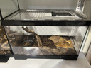 最萌爬宠饲养箱亚克力蛇角蛙蜘蛛蜥蜴守宫饲养盒甲虫爬虫饲养箱乌龟缸 【30X18.5X18.5】裸缸 实拍图