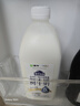 每日鲜语蒙牛现代牧场鲜牛奶1500ml巴氏杀菌桶装鲜牛奶 实拍图