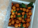 京地达广东砂糖橘新鲜水果净重9斤中大果35-45mm源头直发包邮 实拍图