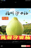 柚满园【纯甜不酸】梅州沙田柚子南福金柚正宗甜碌柚新鲜水果广东梅县 大果6-10个带箱19-20斤 实拍图