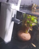 松宝（sobo）鱼缸过滤器三合一循环过滤增氧系统内置净水小型水族箱水泵 25W 实拍图