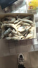 渔游记（YUYOUJI）大大号对虾厄瓜多尔净重3.2斤10-15只/斤南美白虾白虾大虾基围虾 实拍图