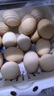 京鲜生可生食标准鲜鸡蛋30枚礼盒装3斤 源头直发 实拍图