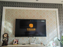 TCL雷鸟 【伸缩挂架送装一体】雀5 25款 一级能效 65英寸 144Hz高刷 智能液晶平板电视机65F295C 实拍图