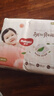 好奇（Huggies）铂金装小桃裤纸尿裤NB84片(5kg以下)尿不湿【透爽散热】 实拍图