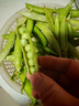新鲜豌豆四川带壳青豆角水果甜豆荚农家蔬菜 新鲜青豌豆荚净重1斤 实拍图