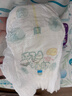 帮宝适超薄透气清新帮拉拉裤新生儿婴儿尿不湿尿片透氧Pro mini L30 实拍图