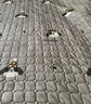 北极绒（Bejirog）牛奶绒床垫学生宿舍单人毯子高中生寝室床褥铺垫褥子垫被 修狗 90*200cm-单床褥 实拍图