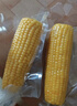 十月稻田 黄甜糯玉米 8根 3.52斤 真空包装 东北粘玉米棒 低脂早餐 实拍图