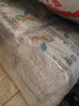 HONEYCARE好命家 狗狗纸尿裤公狗尿不湿安全裤XS适用体重2.5-4kg/12片3包装 实拍图