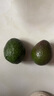 山姆大叔 金奖·哈斯牛油果【闪送】智利鳄梨非即食新鲜牛油果水果礼盒装 【金奖级】超级巨无霸丨约180-220g 8枚【热销* 超值推荐】普装 实拍图