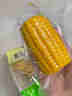 花禾恬东北即食水果甜玉米段1kg装真空低脂办公速食1号会员店源头直发 实拍图