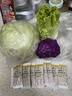 绿食者 新鲜蔬菜沙拉组合4斤 西餐色拉沙拉生菜轻食健身食材配菜 4斤【有沙拉酱】 实拍图