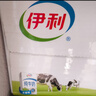 伊利纯牛奶 250ml*16盒 全脂牛奶 年货礼盒装 11月底产 实拍图