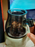 泥也泡茶壶玻璃家用加厚耐高温侧把过滤煮茶器电陶炉专用烧水壶可明火 实拍图