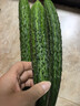 长黄瓜约600g 实拍图