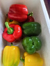 京鲜生 山东三色彩椒 圆椒甜椒新鲜蔬菜 净重3斤单果150g起源头直发包邮 实拍图