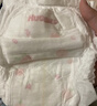 好奇（Huggies）铂金装小桃裤成长裤XXL74片(15kg以上)尿不湿【透爽散热】 实拍图