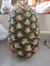 都乐Dole 菲律宾无冠金菠萝 巨无霸果2个装 单果净重2.6斤  源头直发 实拍图