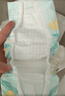 好奇（Huggies）小森林拉拉裤L40片(9-14kg)尿不湿心钻【透氧顶配更低敏】 实拍图