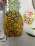 佳农 菲律宾进口菠萝 2个装 凤梨 单果净重2斤 生鲜水果源头直发 包邮 实拍图