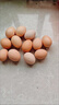 土鸡蛋农家散养新鲜柴鸡蛋孕妇笨鸡蛋40-50g正宗草鸡蛋谷物蛋整箱 10枚50+ 实拍图