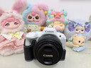 佳能（Canon）佳能r50 入门微单相机 小痰盂人像镜头 Vlog拍摄 4K高清视频 自拍照相 学生旅行家用 扫街旅拍套装 实拍图