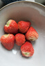 京鲜生 红颜奶油草莓 1斤装 15-20颗 单果22g+  生鲜年货水果 实拍图