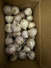玉燕妃云南正宗新鲜紫皮独头大蒜独蒜干蒜 农家露天自种助农生鲜蔬菜 2.5-3cm紫皮独头干蒜净重2斤 实拍图
