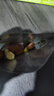 沃隆高端纯坚果每日坚果750g/30袋添加鲍鱼果仁混合坚果礼盒休闲零食 实拍图