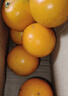 湖南芷江冰糖橙新鲜甜爆汁冰糖柑当季水果产地直发树上熟50-60mm 麻阳冰糖橙 带箱橙2斤装50-60mm 实拍图