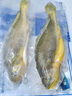 威尔斯（WEIERS）三去黄花鱼500g/2条装  地标认证大黄鱼 生鲜鱼类 海鱼春节也送货 实拍图