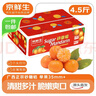 京鲜生 正宗广西砂糖橘礼盒净重4.5斤 单果35-55mm年货礼盒源头直发包邮 实拍图