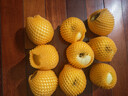 甜醉了 烟台苹果黄元帅粉面苹果黄金帅黄香蕉山东新鲜水果当季整箱鲜果 净重5斤特大果85mm 实拍图