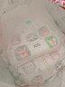 好奇（Huggies）小森林拉拉裤XXL30片(15kg以上)尿不湿心钻【透氧顶配更低敏】 实拍图
