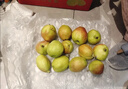 京鲜生 新疆库尔勒香梨 净重10斤 一级 单果100-120g 生鲜水果 实拍图