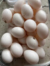 保卫蛋蛋新鲜鸽子蛋农家孕妇宝宝杂粮喂养送礼礼盒年货节礼盒送礼 店长推荐丨鸽子蛋60枚（1100g） 实拍图