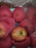 京鲜生 山东栖霞红富士苹果精品12粒 单果190g-240g  水果礼盒 实拍图
