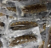 辽参大连冷冻海参1斤4-6只 非即食辽刺参 京东自营 年货 固形物≥85% 实拍图